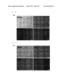 iPS CELL HAVING DIFFERENTIATION PROPENSITY FOR CORNEAL EPITHELIUM diagram and image