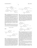 Method for Promoting Differentiation of Pluripotent Stem Cells into     Cardiac Muscle Cells diagram and image