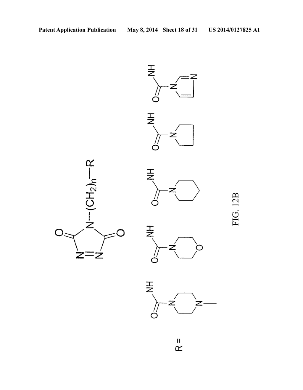 QUANTITATIVE ANALYSIS OF VITAMIN D3, VITAMIN D2, AND METABOLITES THEREOF - diagram, schematic, and image 19