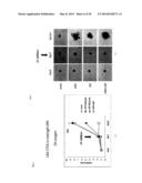 Method for Inducing Dormancy of Cancer Tissue-Derived Cell Mass and Method     for Evaluating Treating Means with the Use of Cancer-Tissue-Derived Cell     Mass diagram and image