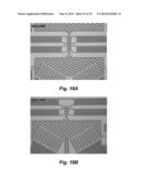 MECHANICAL PHENOTYPING OF SINGLE CELLS: HIGH THROUGHPUT QUANTITATIVE     DETECTION AND SORTING diagram and image