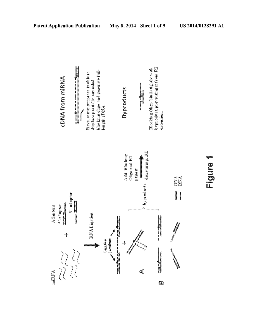 OLIGONUCLEOTIDES AND METHODS FOR THE PREPARATION OF RNA LIBRARIES - diagram, schematic, and image 02