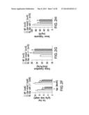 UNDERCARBOXYLATED/UNCARBOXYLATED OSTEOCALCIN INCREASES BETA-CELL     PROLIFERATION, INSULIN SECRETION, INSULIN SENSITIVITY, GLUCOSE TOLERANCE     AND DECREASES FAT MASS diagram and image