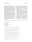 UNDERCARBOXYLATED/UNCARBOXYLATED OSTEOCALCIN INCREASES BETA-CELL     PROLIFERATION, INSULIN SECRETION, INSULIN SENSITIVITY, GLUCOSE TOLERANCE     AND DECREASES FAT MASS diagram and image