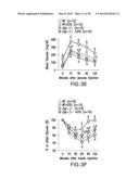 UNDERCARBOXYLATED/UNCARBOXYLATED OSTEOCALCIN INCREASES BETA-CELL     PROLIFERATION, INSULIN SECRETION, INSULIN SENSITIVITY, GLUCOSE TOLERANCE     AND DECREASES FAT MASS diagram and image