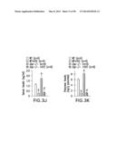 UNDERCARBOXYLATED/UNCARBOXYLATED OSTEOCALCIN INCREASES BETA-CELL     PROLIFERATION, INSULIN SECRETION, INSULIN SENSITIVITY, GLUCOSE TOLERANCE     AND DECREASES FAT MASS diagram and image