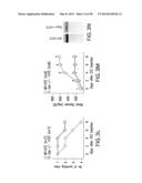 UNDERCARBOXYLATED/UNCARBOXYLATED OSTEOCALCIN INCREASES BETA-CELL     PROLIFERATION, INSULIN SECRETION, INSULIN SENSITIVITY, GLUCOSE TOLERANCE     AND DECREASES FAT MASS diagram and image