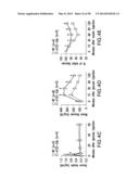 UNDERCARBOXYLATED/UNCARBOXYLATED OSTEOCALCIN INCREASES BETA-CELL     PROLIFERATION, INSULIN SECRETION, INSULIN SENSITIVITY, GLUCOSE TOLERANCE     AND DECREASES FAT MASS diagram and image