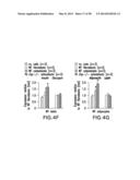 UNDERCARBOXYLATED/UNCARBOXYLATED OSTEOCALCIN INCREASES BETA-CELL     PROLIFERATION, INSULIN SECRETION, INSULIN SENSITIVITY, GLUCOSE TOLERANCE     AND DECREASES FAT MASS diagram and image