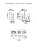 UNDERCARBOXYLATED/UNCARBOXYLATED OSTEOCALCIN INCREASES BETA-CELL     PROLIFERATION, INSULIN SECRETION, INSULIN SENSITIVITY, GLUCOSE TOLERANCE     AND DECREASES FAT MASS diagram and image