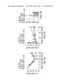 UNDERCARBOXYLATED/UNCARBOXYLATED OSTEOCALCIN INCREASES BETA-CELL     PROLIFERATION, INSULIN SECRETION, INSULIN SENSITIVITY, GLUCOSE TOLERANCE     AND DECREASES FAT MASS diagram and image