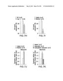 UNDERCARBOXYLATED/UNCARBOXYLATED OSTEOCALCIN INCREASES BETA-CELL     PROLIFERATION, INSULIN SECRETION, INSULIN SENSITIVITY, GLUCOSE TOLERANCE     AND DECREASES FAT MASS diagram and image