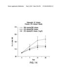 UNDERCARBOXYLATED/UNCARBOXYLATED OSTEOCALCIN INCREASES BETA-CELL     PROLIFERATION, INSULIN SECRETION, INSULIN SENSITIVITY, GLUCOSE TOLERANCE     AND DECREASES FAT MASS diagram and image