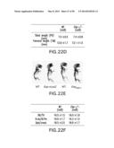 UNDERCARBOXYLATED/UNCARBOXYLATED OSTEOCALCIN INCREASES BETA-CELL     PROLIFERATION, INSULIN SECRETION, INSULIN SENSITIVITY, GLUCOSE TOLERANCE     AND DECREASES FAT MASS diagram and image