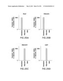 UNDERCARBOXYLATED/UNCARBOXYLATED OSTEOCALCIN INCREASES BETA-CELL     PROLIFERATION, INSULIN SECRETION, INSULIN SENSITIVITY, GLUCOSE TOLERANCE     AND DECREASES FAT MASS diagram and image