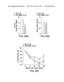 UNDERCARBOXYLATED/UNCARBOXYLATED OSTEOCALCIN INCREASES BETA-CELL     PROLIFERATION, INSULIN SECRETION, INSULIN SENSITIVITY, GLUCOSE TOLERANCE     AND DECREASES FAT MASS diagram and image