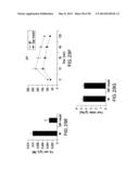 UNDERCARBOXYLATED/UNCARBOXYLATED OSTEOCALCIN INCREASES BETA-CELL     PROLIFERATION, INSULIN SECRETION, INSULIN SENSITIVITY, GLUCOSE TOLERANCE     AND DECREASES FAT MASS diagram and image