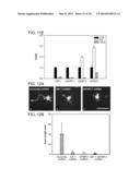 Compositions for Controlling Neuronal Outgrowth diagram and image