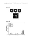 Compositions for Controlling Neuronal Outgrowth diagram and image