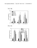 Compositions for Controlling Neuronal Outgrowth diagram and image