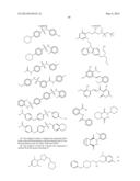 COMPOUNDS AND METHODS FOR MODULATING MITOCHONDRIAL METABOLISM AND REACTIVE     OXYGEN SPECIES PRODUCTION diagram and image