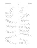 COMPOUNDS AND METHODS FOR MODULATING MITOCHONDRIAL METABOLISM AND REACTIVE     OXYGEN SPECIES PRODUCTION diagram and image