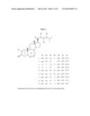 METHODS OF PRODUCING AND USING BRASSINOSTEROIDS TO PROMOTE GROWTH, REPAIR     AND MAINTENANCE OF SKELETAL MUSCLE AND SKIN diagram and image