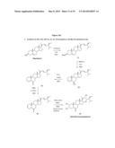 METHODS OF PRODUCING AND USING BRASSINOSTEROIDS TO PROMOTE GROWTH, REPAIR     AND MAINTENANCE OF SKELETAL MUSCLE AND SKIN diagram and image