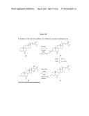 METHODS OF PRODUCING AND USING BRASSINOSTEROIDS TO PROMOTE GROWTH, REPAIR     AND MAINTENANCE OF SKELETAL MUSCLE AND SKIN diagram and image