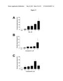 METHODS OF PRODUCING AND USING BRASSINOSTEROIDS TO PROMOTE GROWTH, REPAIR     AND MAINTENANCE OF SKELETAL MUSCLE AND SKIN diagram and image