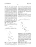 Hydroxy-substituted imidazo[1,2-a]-pyridinecarboxamides and their use diagram and image