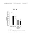 NOVEL EP4 AGONIST diagram and image