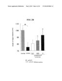 NOVEL EP4 AGONIST diagram and image