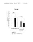 NOVEL EP4 AGONIST diagram and image