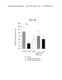 NOVEL EP4 AGONIST diagram and image