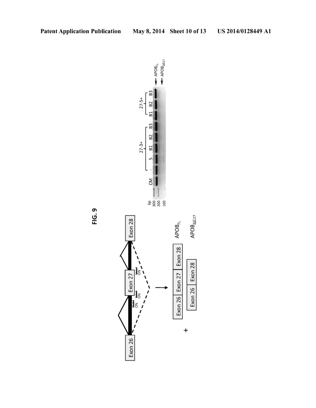 OLIGONUCLEOTIDE MODULATION OF SPLICING - diagram, schematic, and image 11