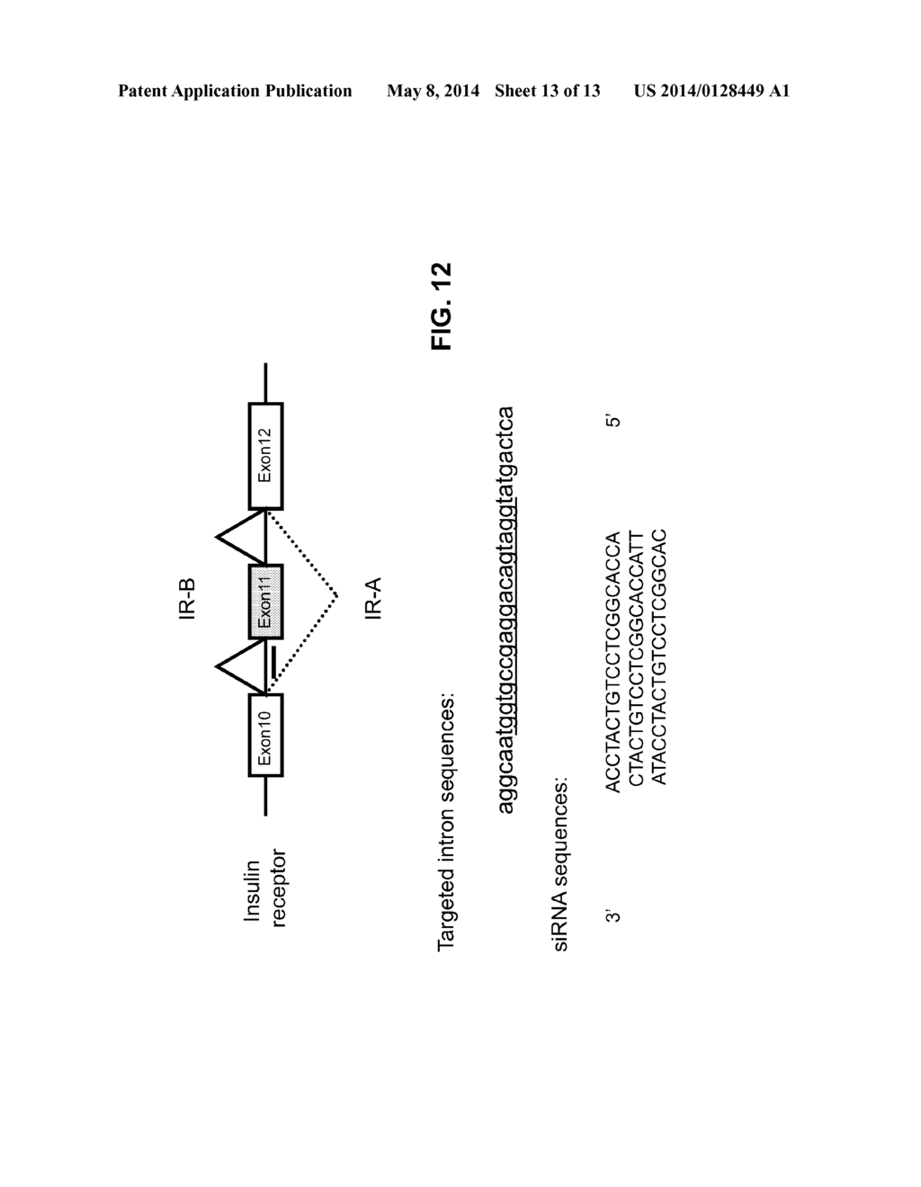 OLIGONUCLEOTIDE MODULATION OF SPLICING - diagram, schematic, and image 14