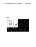 USE OF SMALL MOLECULE INHIBITORS TARGETING EYA TYROSINE PHOSPHATASE diagram and image