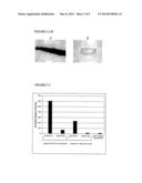 Novel Heparin Entities and Methods of Use diagram and image