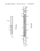 SHAPED OCCLUDING DEVICES AND METHODS OF USING THE SAME diagram and image