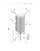 ENDOVASCULAR PROSTHESIS AND DELIVERY DEVICE diagram and image