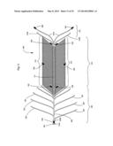 ENDOVASCULAR PROSTHESIS AND DELIVERY DEVICE diagram and image