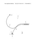 ENDOVASCULAR PROSTHESIS AND DELIVERY DEVICE diagram and image