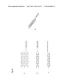 ENDOVASCULAR PROSTHESIS AND DELIVERY DEVICE diagram and image