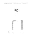 ENDOVASCULAR PROSTHESIS AND DELIVERY DEVICE diagram and image