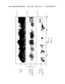 METHODS AND APPARATUS FOR IDENTIFYING SPECTRAL PEAKS IN A NEURONAL SPIKING     REPRESENTATION OF A SIGNAL diagram and image