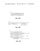 STANDARD CELL PLACEMENT METHOD TO EXERCISE PLACEMENT PERMUTATIONS OF     STANDARD CELL LIBRARIES diagram and image