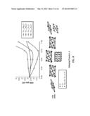 WUSTITE-BASED PHOTOELECTRODES WITH LITHIUM, HYDROGEN, SODIUM, MAGNESIUM,     MANGANESE, ZINC AND NICKEL ADDITIVES diagram and image