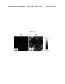 GRAPHENE SHEET, TRANSPARENT ELECTRODE, ACTIVE LAYER INCLUDING THE SAME,     DISPLAY, ELECTRONIC DEVICE, OPTOELECTRONIC DEVICE, BATTERY, SOLAR CELL,     AND DYE-SENSITIZED SOLAR CELL INCLUDING THE ELECTRODE OR ACTIVE LAYER diagram and image