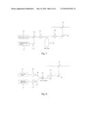 RAMAN MICROSCOPE AND RAMAN SPECTROMETRIC MEASURING METHOD diagram and image